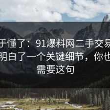 我终于懂了：91爆料网二手交易这次让我明白了一个关键细节，你也许正需要这句