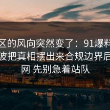 评论区的风向突然变了：91爆料网停车这波把真相摆出来合规边界后，91网 先别急着站队